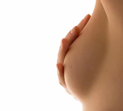 Breast medical concept in isolated background in white